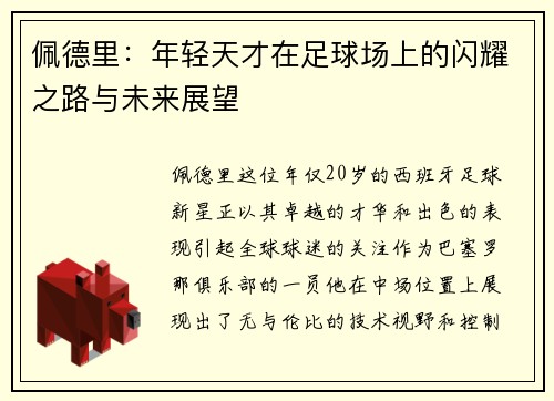 佩德里：年轻天才在足球场上的闪耀之路与未来展望