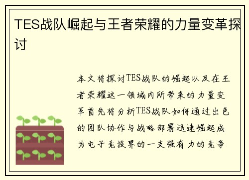 TES战队崛起与王者荣耀的力量变革探讨