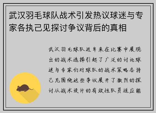 武汉羽毛球队战术引发热议球迷与专家各执己见探讨争议背后的真相